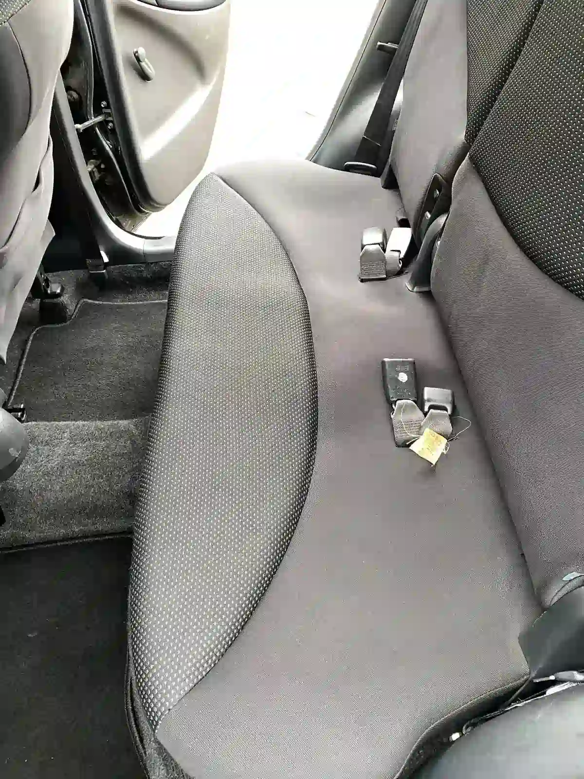 Nachher: Saubere Rücksitzbank nach Schimmelentfernung Münster